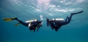 WhatsApp Image 2024-03-07 at 07.30.55 (1)