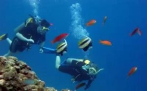 WhatsApp Image 2024-03-07 at 07.30.56 (15)