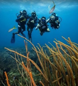 WhatsApp Image 2024-03-07 at 07.30.56 (2)