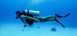 WhatsApp Image 2024-03-07 at 07.30.56