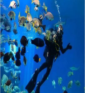 WhatsApp Image 2024-03-07 at 07.30.56 (5)