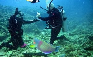 WhatsApp Image 2024-03-07 at 07.30.56 (6)