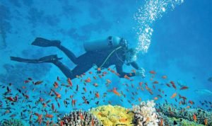 WhatsApp Image 2024-03-07 at 07.30.56 (7)