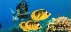 WhatsApp Image 2024-03-07 at 07.30.58 (3)