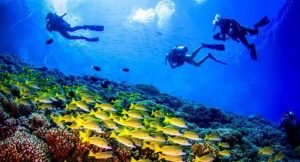 WhatsApp Image 2024-03-07 at 07.31.17 (1)