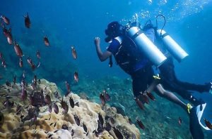 WhatsApp Image 2024-03-07 at 07.31.17