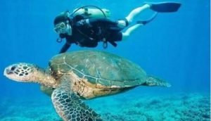 WhatsApp Image 2024-03-07 at 07.31.17 (4)